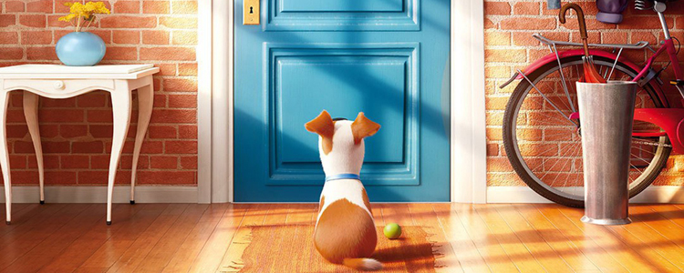 Comme des Bêtes - The Secret Life of Pets (1)