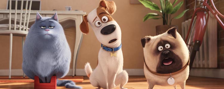 Comme des Bêtes - The Secret Life of Pets (2)